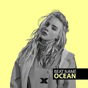 Picture for song '"Ocean" Billie Eilish Type Beat Chill/Relax' by artist 'Shadow Talent'