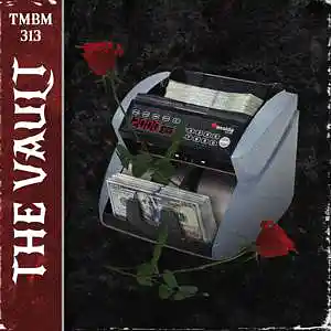 Picture for song 'The Vault' by artist 'TMBM313'