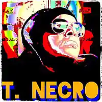 Picture for song 'Gypsy Krunk' by artist 'Turtle Necromancer'