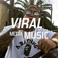 Picture for song 'Shahi Garam Aliester's Beat Tape' by artist 'Viral Media Music'