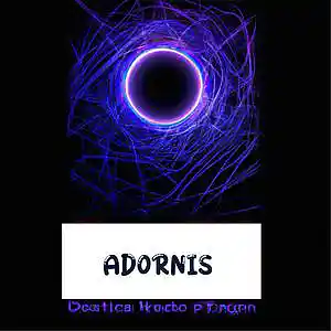 Picture for song '" ADONIS "Reggeaton Beat ( buy 1, Free 1)' by artist 'Boomtrap'