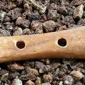 Picture for song 'divje babe flute' by artist 'JimRoss'