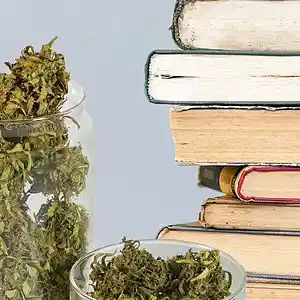 Picture for song 'Library Weed' by artist 'JoshPranks'