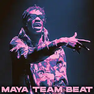 Picture for song 'MTB - Night' by artist 'MAYA TEAM'