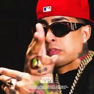 Picture for song '''PUESTA PAL PERREO''' by artist 'Notabeatz'