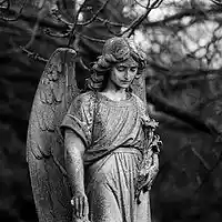 Picture for song 'PTB - Fallen Angel' by artist 'So Wavy'