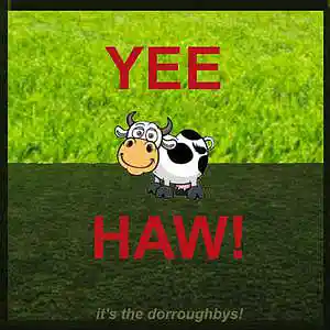 Picture for song 'Coast To Coast' by artist 'The Dorroughbys'