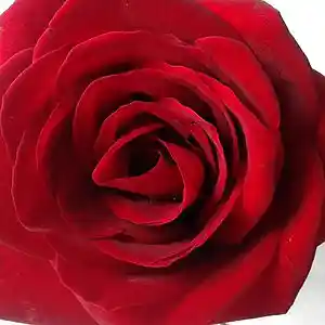 Picture for song 'sun' by artist 'tudo passa'