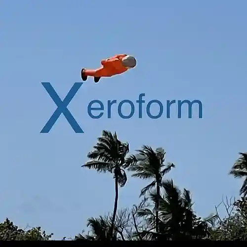 Picture for song 'Reverse Run (Xeroform Intrumental)' by artist 'Xeroform'