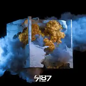 Picture for song 'Do It Right' by artist '7187'