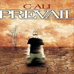 Picture for song 'Prevail' by artist '(Ar) C-ali'