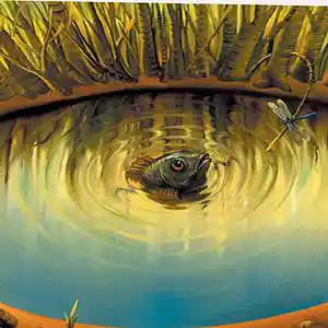 Picture for song 'Eye Land' by artist 'Black Chalk'