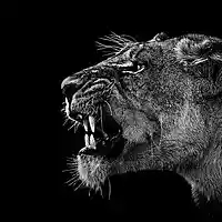 Picture for song 'DJ Luck - Momma Knows' by artist 'DJ Luck94'