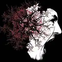 Picture for song 'RAIN AND PAIN' by artist 'Inim Productions'