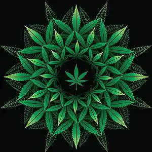 Picture for song 'PotStruck/Chill Trap Type' by artist 'InnerMitten Beatz'