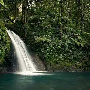 Picture for song '(FREE) Energetic Flute type beat - "Fresh Flute"' by artist 'J.K.Beats04'