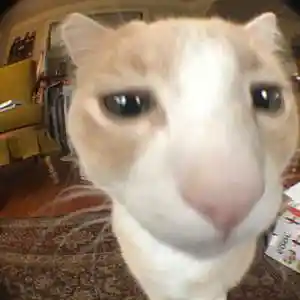 Picture for song 'NAGANIACZ - Yeat x Key Glock x Hyper Trap' by artist 'nolyrics music group'