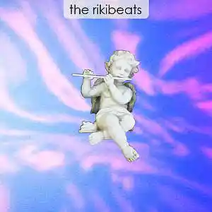 Picture for song 'FLUTE' by artist 'THE RIKIBEATS'