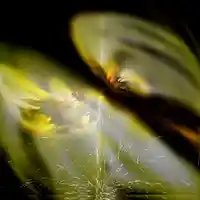 Picture for song '13.hearts' by artist 'BGN'