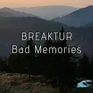 Picture for song 'Bad Memories' by artist 'Breaktur'