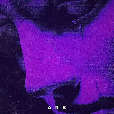 Picture for song 'Ark' by artist 'Erawy'