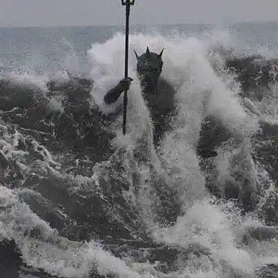 Picture for song 'NEPTUNE - JAMESLAFLAME' by artist 'JamesLaFLame'