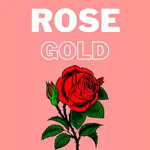Picture for song 'Rose Gold' by artist 'Mini Producer'