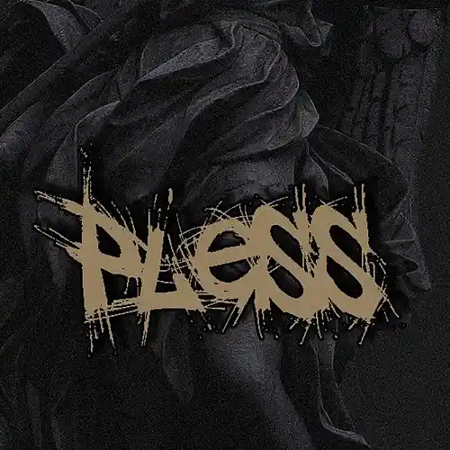 Picture for song 'pless - tati beast' by artist 'pless'