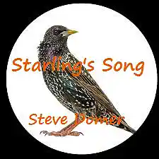 Picture for song 'Starlings Song' by artist 'Steve Domer'