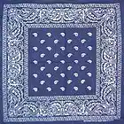 Picture for song 'b*** the f*** you' by artist 'three live crew'