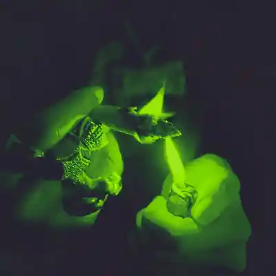 Picture for song 'genius' by artist 'typedot'