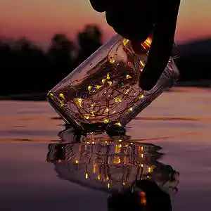 Picture for song '"Poison" Beat for Sale' by artist 'whoDeanyBeatz'