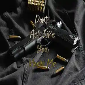 Picture for song 'Dont Act Like You Know Me' by artist 'Anac On The Beat'