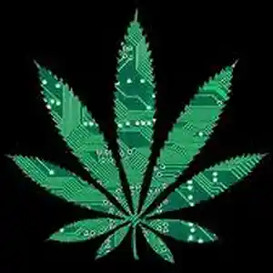 Picture for song 'Green Gang - J Young' by artist 'Fed N J On Da Beat'
