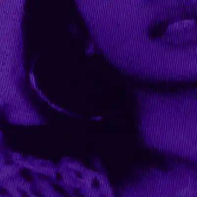 Picture for song 'Idk Why (Cash Cobain x Sexy Drill)' by artist 'LEXI BANKS'