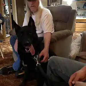 Picture for song 'Song With No Name- Smerage/Ramsey/GeeS' by artist 'Rick Smerage'