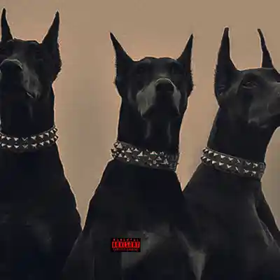 Song picture