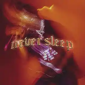 Picture for song 'NEVER SLEEP - NAV X DON TOLIVER' by artist 'SIGHOST'