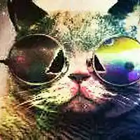 Picture for song 'Funny Katz (Free DL)' by artist 'Star House Music'