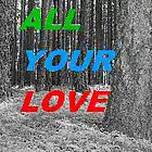 Picture for song 'ALL YOUR LOVE (FOR ME)' by artist 'Daniel D. (David) McWilliams'