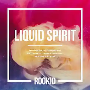 Picture for song 'LIQUID SPIRIT' by artist 'DJ ROOKID'