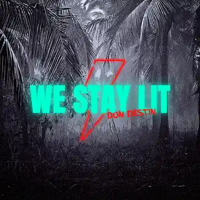 Picture for song 'We Stay Lit' by artist 'Don Destin'