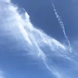 Picture for song 'Progressive Waves' by artist 'Heavens Air'