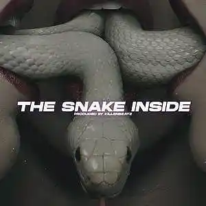 Picture for song 'The Snake Inside / Drill 120 Bpm // Buy 1 get 4' by artist 'Killenbeatz'