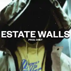 Picture for song 'ESTATE WALLS (BUY 2 GET 1 FREE) UK DRILL TYPE BEAT' by artist 'prod.ohey'