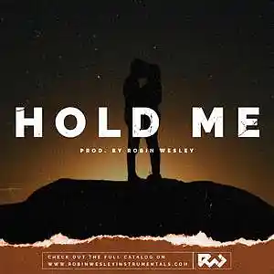Picture for song 'Hold Me' by artist 'Robin Wesley'