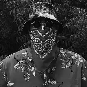 Picture for song 'RENEGADE Emotional hip hop guitar' by artist 'Zalfprod'