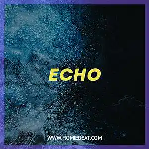 Picture for song 'Echo' by artist 'Homiebeat'