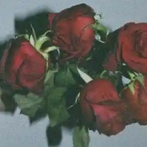 Picture for song 'LOVE LETTERS (rnb type beat)' by artist 'Maori Beatz'