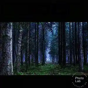 Picture for song 'if you' by artist 'Oson'